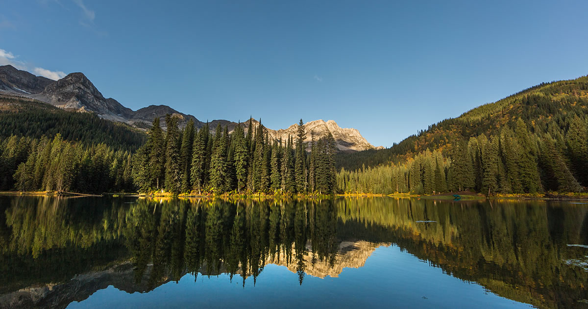 Wildlife & Nature At Island Lake Lodge