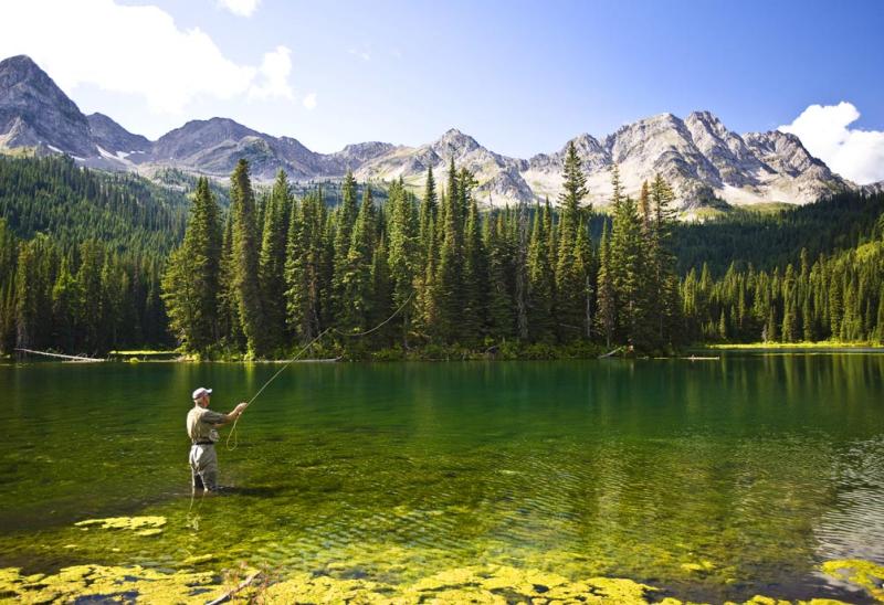 Lake Fishing Trip In Fernie - Experience world class lake fishing!