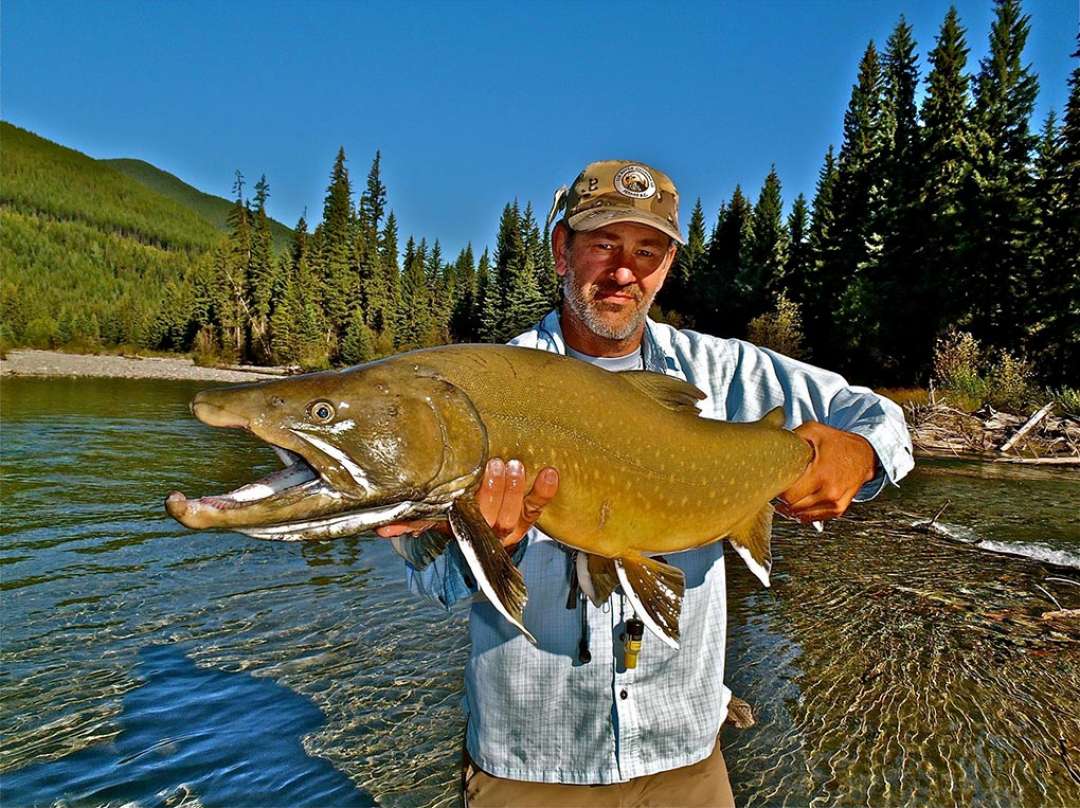 Fly Fishing In Fernie, B.C.