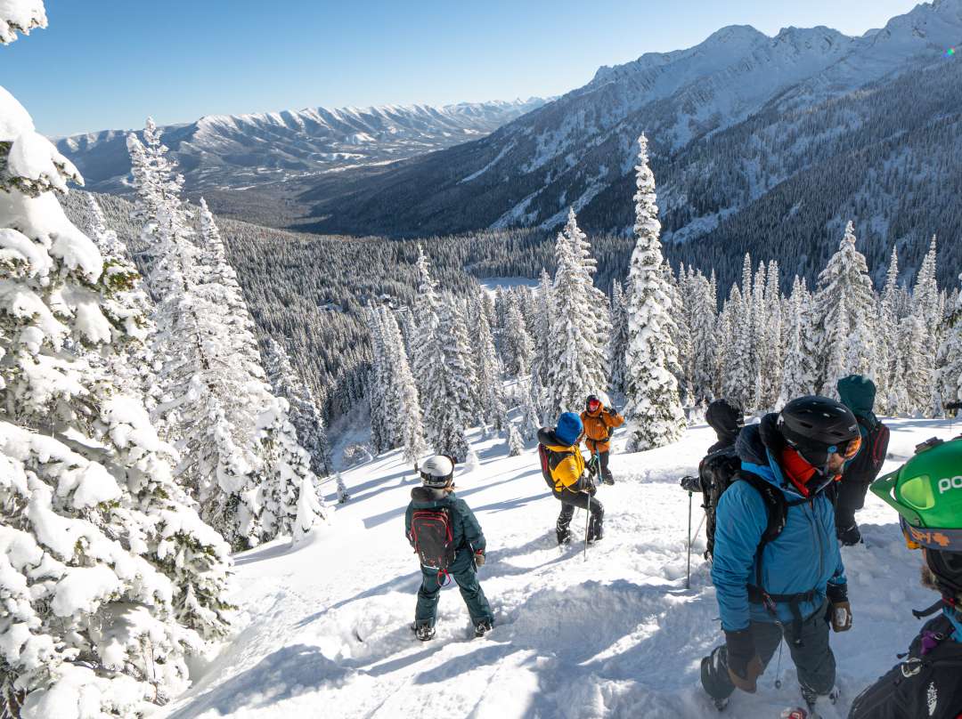 Island Lake Lodge in Fernie B.C. | Mountain Resort & Catskiing