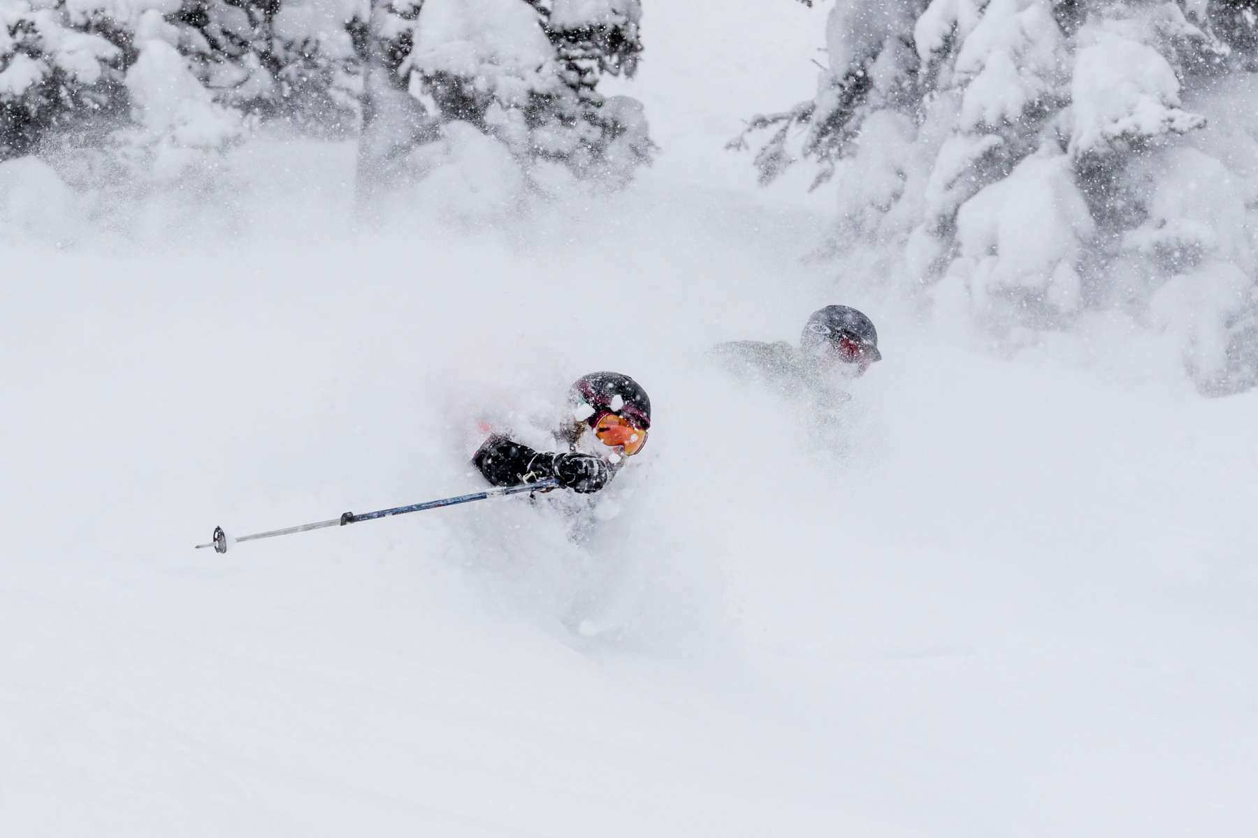 Powder skiing | Island Lake Lodge