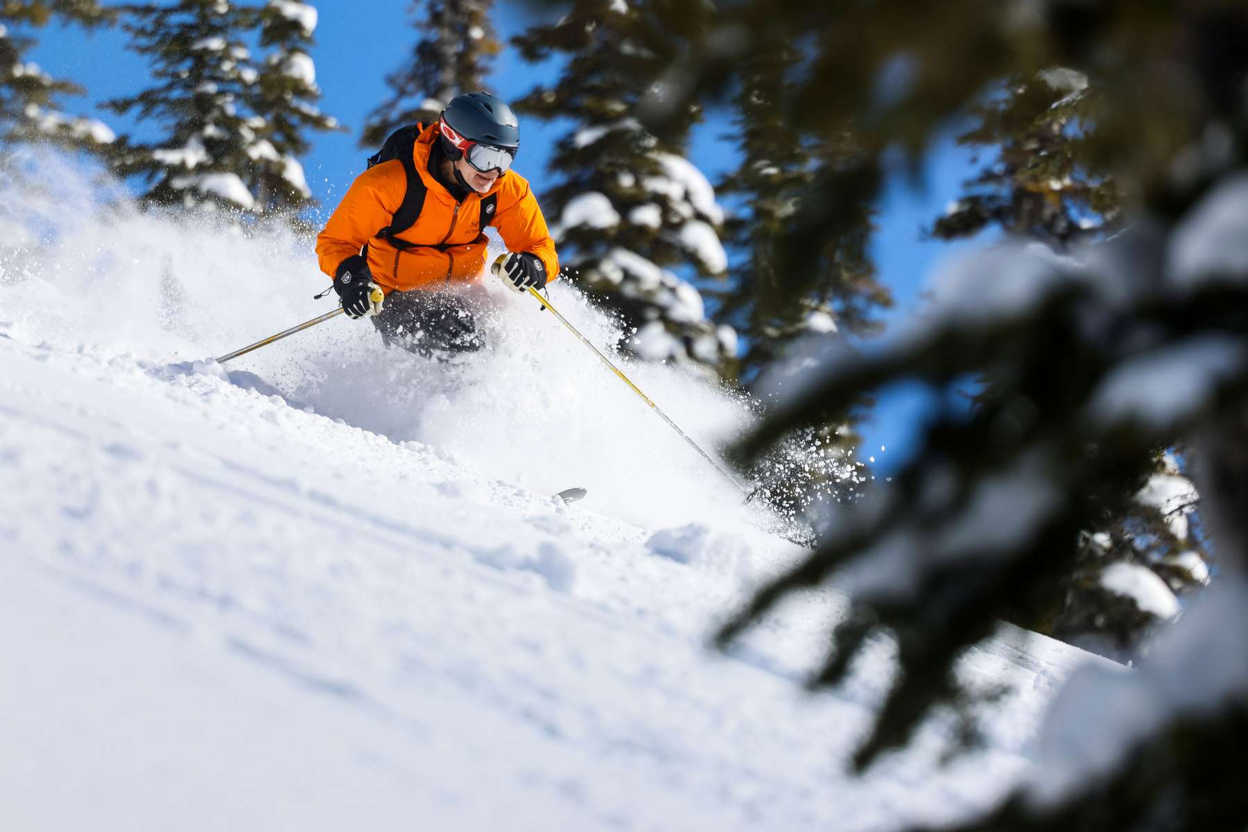 Gladed skiing | Island Lake Lodge